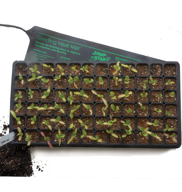 Plug Inserts Professional 72 Cells