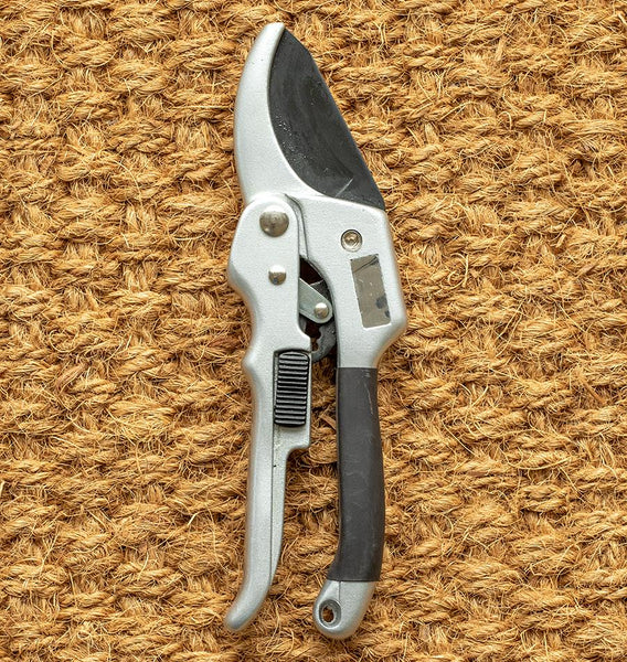 Ratchet clearance garden shears