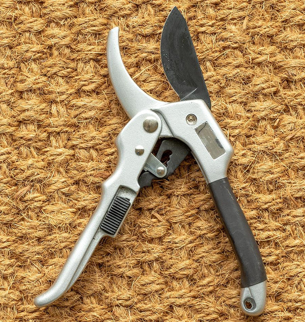 Ratchet Pruner