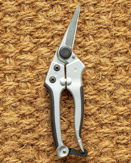 Herb pruners deals