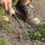 Pinebush Weeder