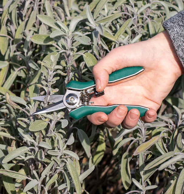 Pinebush Precision Trimmer Pruner