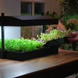 Growlight Garden