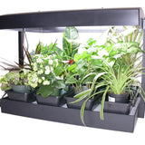 Growlight Garden