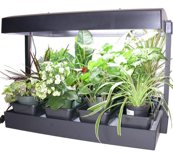 Growlight Garden