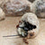 Mason Bee Cocoons 2