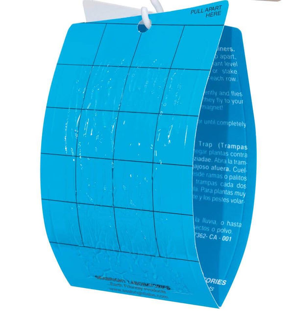 Sticky Thrip Leafminer Trap