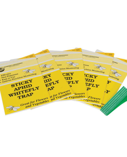 Sticky Aphid and Whitefly Traps