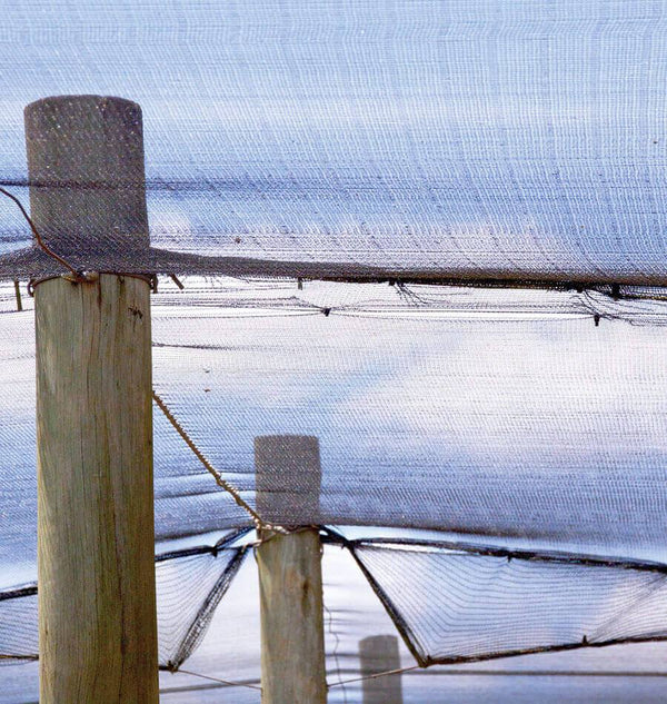Shade Cloth for Organic Growing