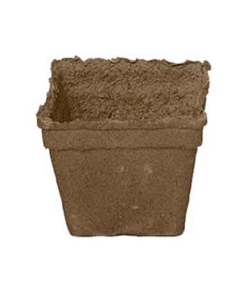 5 Inch Cow Pots (each)