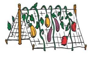 Trellis Netting 6x6" Squares